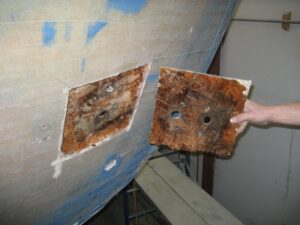 IMG_0370.JPG snow cat copy