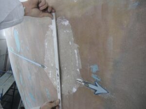 IMG_0371.JPG snow cat copy